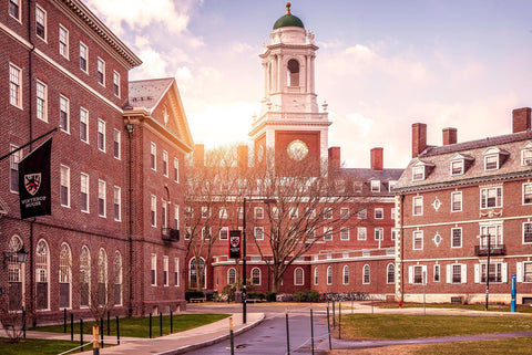 Harvard Study:Guide to Early Music Education-player