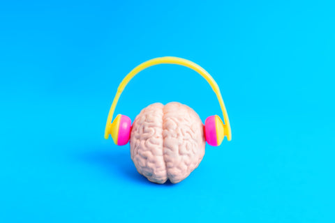 How Music Shapes the Brain？